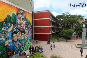 Introducción a la Administración Aduanera